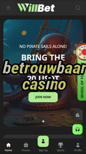 betrouwbaar casino-asdasdzhjkds.com
