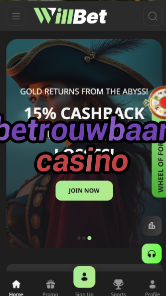 betrouwbaar casino-asdasdzhjkds.com
